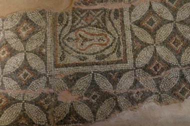 Vazo: İlahi mirasın toplandığı kap.