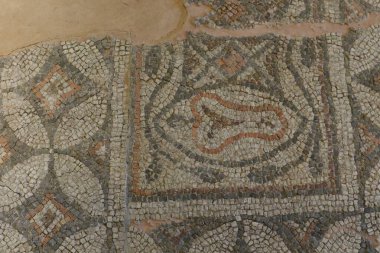 Vazo: İlahi mirasın toplandığı kap.