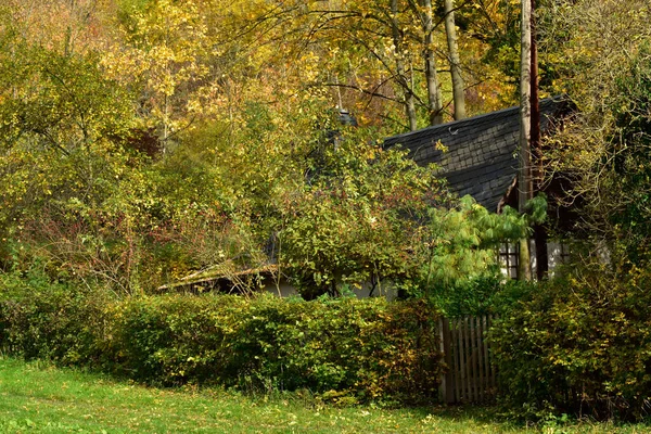 Dům Podzimním Lese — Stock fotografie