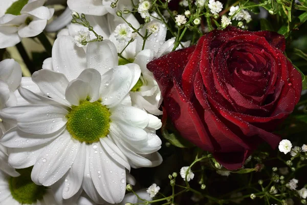Kırmızı güller ve beyaz papatyalar.
