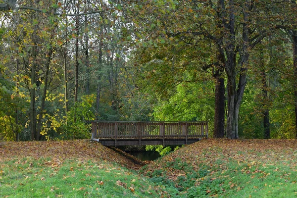 Sonbahar şehir parkında köprü