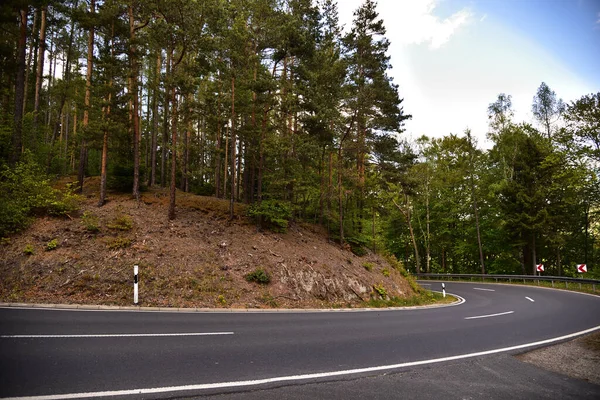 Dağlık arazide orman yolu