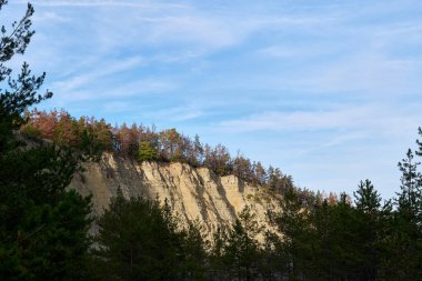 Uçurumun kenarındaki çam ağaçları