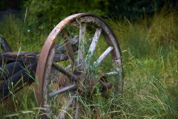 Ein Altes Holzrad Gras — Stockfoto
