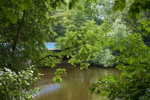 Nehrin Üzerinde Yaya Köprüsü