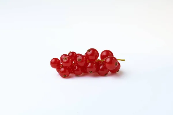 Bir dal kırmızı olgun frenk üzümü