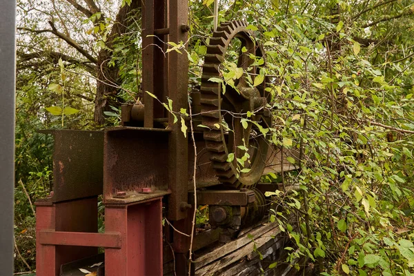 Ormandaki eski paslı dişli mekanizması.