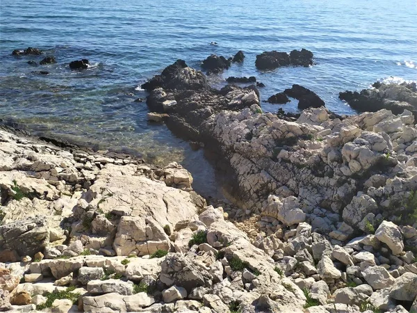 Croazia Isola Pag Bella Natura Spiaggia Rocciosa Frangiflutti Sullo Sfondo — Foto Stock