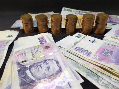 Çek banknotlarının, arka planında çeşitli avro banknotları bulunan Çek 50 koruna sikkesi sütunlarının etrafına istiflenmiş banknotlara yakın plan.