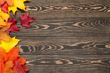 Kahverengi ahşap arka planda düşmüş renkli akçaağaç yapraklarının üst görüntüsü. Sonbahar yaprakları. Satış konsepti. Boşluğu kopyala.  