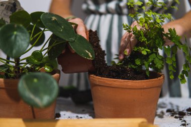 Bahçe işi yapan bir kadın..