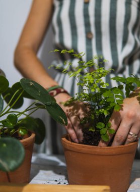 Bahçe işi yapan bir kadın..