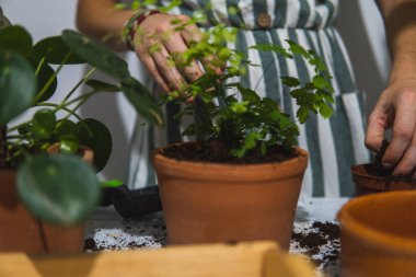 Bahçe işi yapan bir kadın..