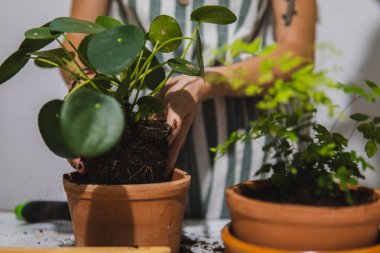 Bahçe işi yapan bir kadın..