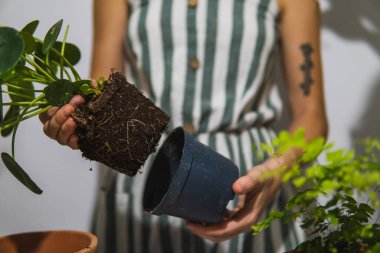 Bahçe işi yapan bir kadın..