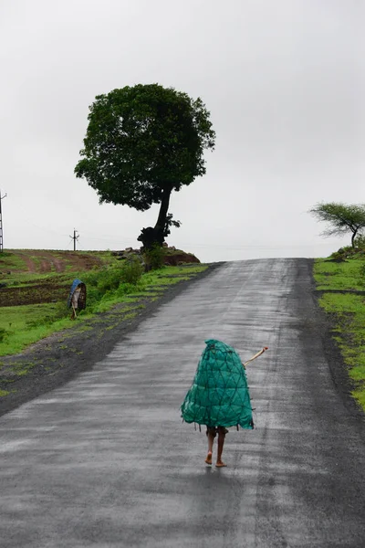 Trimbakeshwar, Maharashtra, Hindistan 'da kasvetli bir muson sezonunda yağmurlu bir yolda yürüyen bir çeltik işçisi.. 
