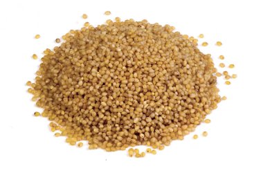 Beyaz arka plana karşı izole edilmiş tilki kuyruğu darı yığını