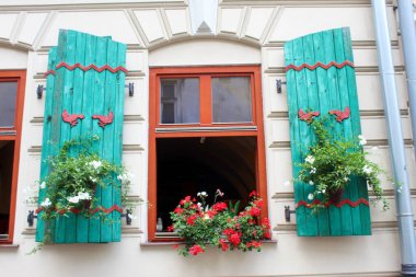 Kahverengi pencereli yeşil kapılı ve her çeşit çiçekli