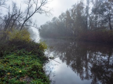 Kasımda sisli bir günde sakin bir nehir manzarası. Durgun sularda yansıyan ağaçlar, nehir yatağının uzak manzarası....