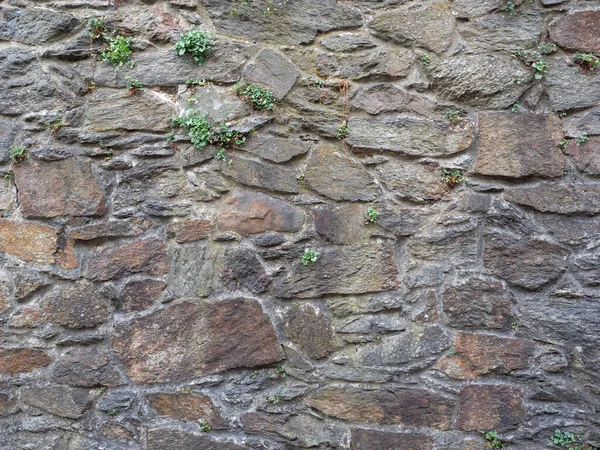 Primer Plano Del Muro Fortificación Piedra Cubierto Pequeñas Plantas Verdes — Foto de Stock