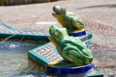 Meydanda bir kurbağa çeşmesi