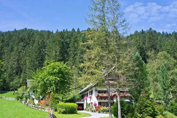 Kleine Häuser Umgeben Von Wald Und Bergen Den Alpen Gosau — Stockfoto