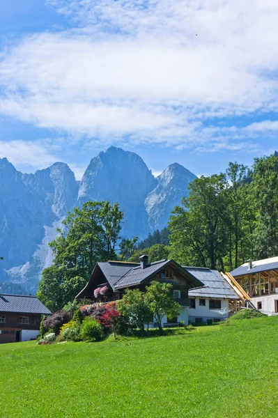 Alpler Gosau Avusturya Orman Dağlarla Çevrili Küçük Evler — Stok fotoğraf