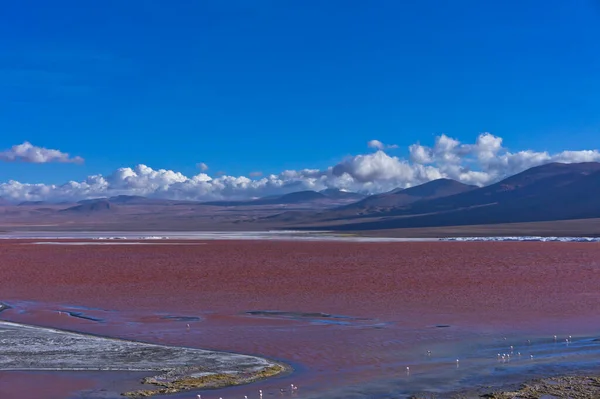 Roter See Bolivien Südamerika — Stockfoto