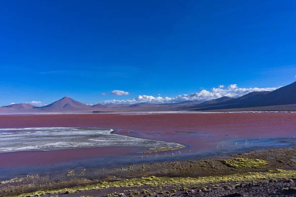 Red Lake Bolivia South America — Stock Photo, Image