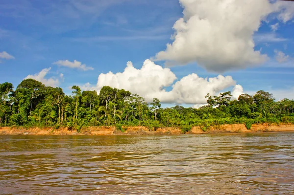Bacino Amazzonico Perù Sud America — Foto Stock