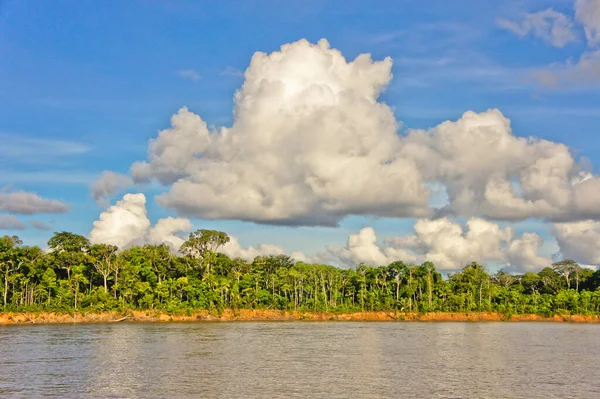 Amazon Havzası, Peru, Güney Amerika