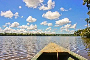 Amazon Havzası, Peru, Güney Amerika