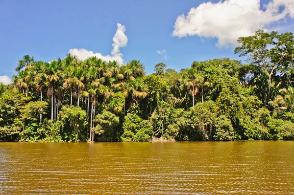 Amazone Bekken Peru Zuid Amerika — Stockfoto