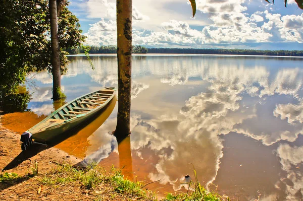 Amazon Havzası Peru Güney Amerika — Stok fotoğraf