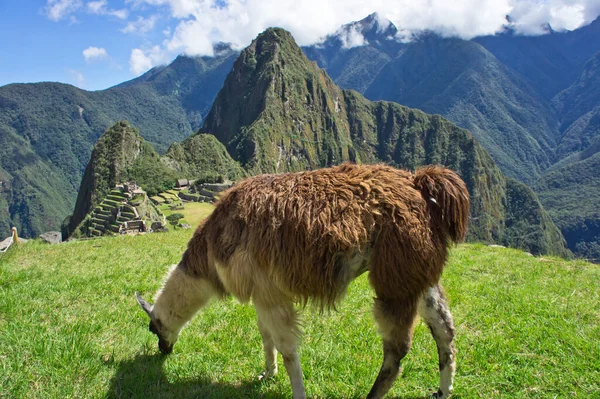 Machu Picchu Gündüz Antik şehir manzarası, Peru, Güney Amerika