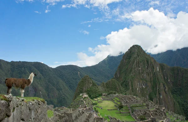 Machu Picchu Gündüz Antik şehir manzarası, Peru, Güney Amerika