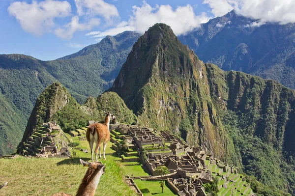 Machu Picchu Sunny Day Ancienne Vue Sur Ville Pérou Amérique — Photo