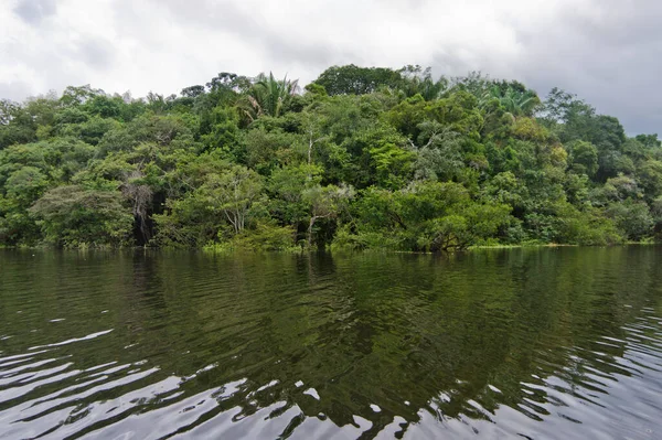 Natuurlandschap Amazonebekken Brazilië — Stockfoto