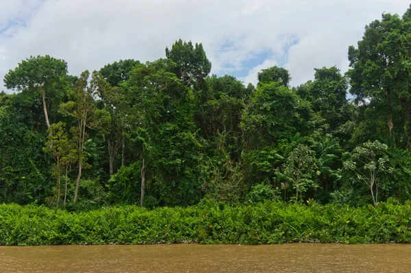 Natuurlandschap Amazonebekken Brazilië — Stockfoto