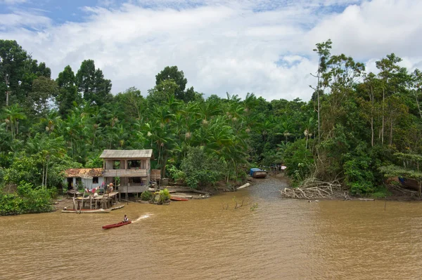 Natuurlandschap Amazonebekken Brazilië — Stockfoto