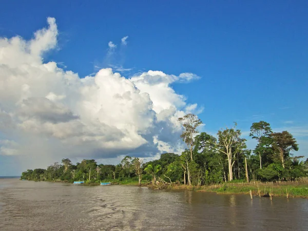 Paysage Naturel Dans Bassin Amazonien Brésil — Photo