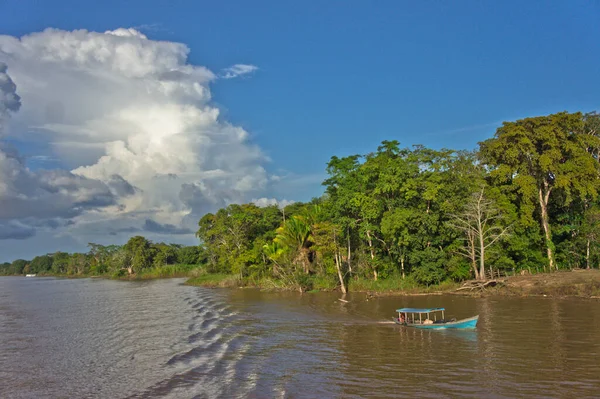 Natuurlandschap Amazonebekken Brazilië — Stockfoto