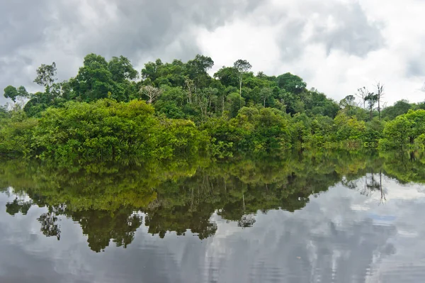 Природний Ландшафт Амазонії Бразилія — стокове фото