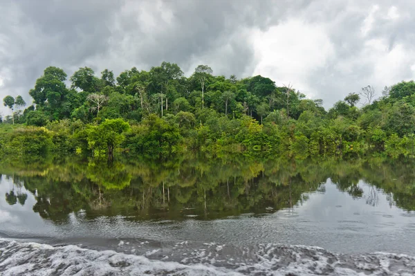 Natuurlandschap Amazonebekken Brazilië — Stockfoto