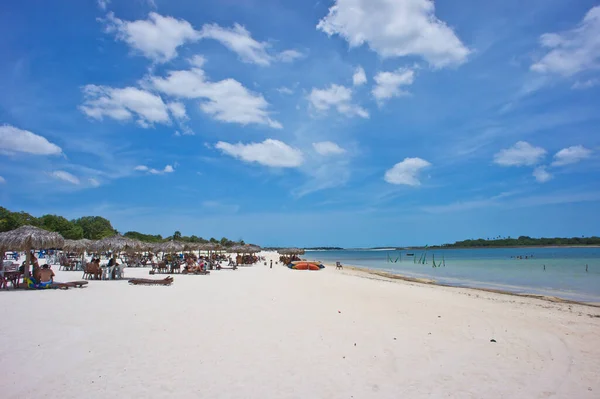 Jericoacara Tropical Beach View ブラジル 南アメリカ — ストック写真