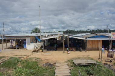 Amazon Havzası, Peru, Güney Amerika
