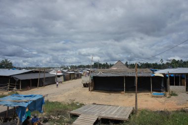 Amazon Havzası, Peru, Güney Amerika