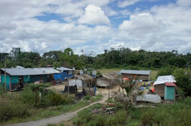 Amazon Havzası, Peru, Güney Amerika
