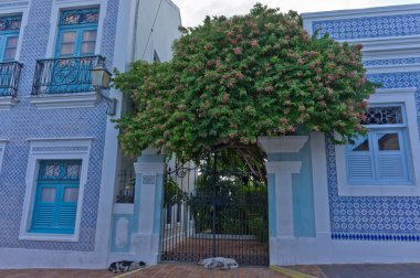 Olinda, Eski şehir sokak manzarası, Brezilya, Güney Amerika