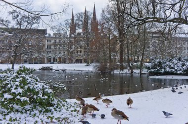 Wiesbaden, Karlı Gün Şehir Manzarası, Almanya, Avrupa